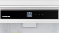 IRBci 5620 (4).png