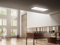skydome-ambiente 2.jpg